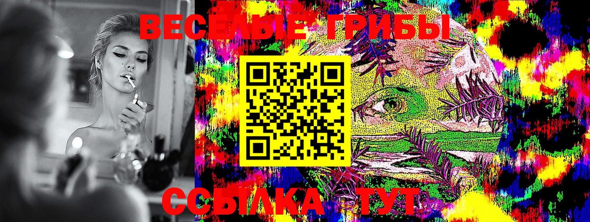 Галлюциногенные грибы Psilocybine cubensis Наро-Фоминск